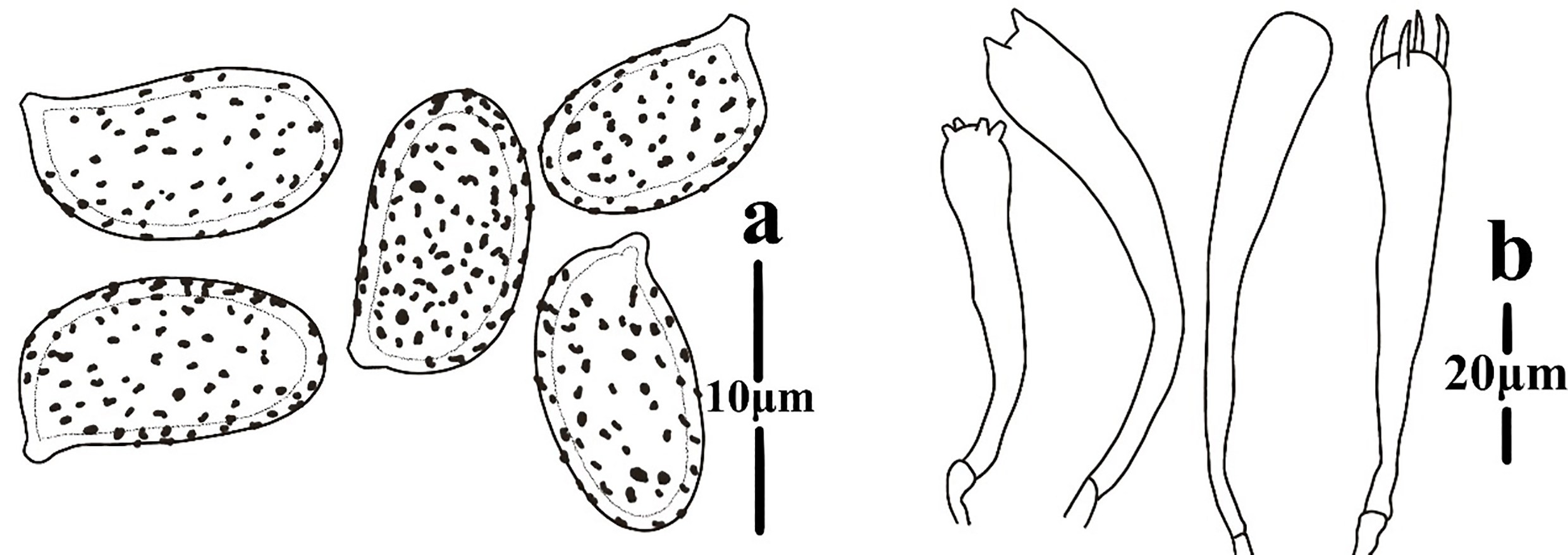 Figure 123